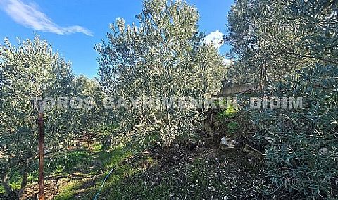 Didim Akköy, de Doğa İçinde  Satılık Deniz Manzaralı Yazlık