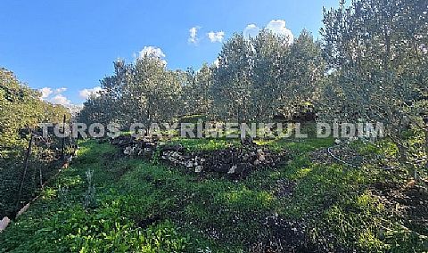 Didim Akköy, de Doğa İçinde  Satılık Deniz Manzaralı Yazlık