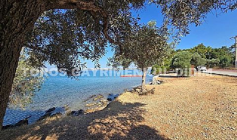 Didim Akbük'te Denize Yakın, 430 m² Bahçeli Tam Müstakil Satılık Villa!