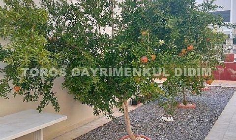 Didim efelerde havuzlu sitede satılık müstakil villa 