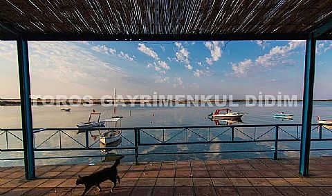 Didimde Denize 2 dk — Efeler Mahallesi’nde Site İçi 4+1 Bahçeli Villa 